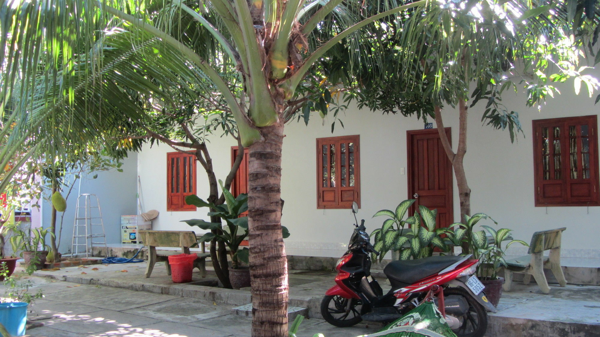 Duc Thao Guest House Mui Ne Exterior foto